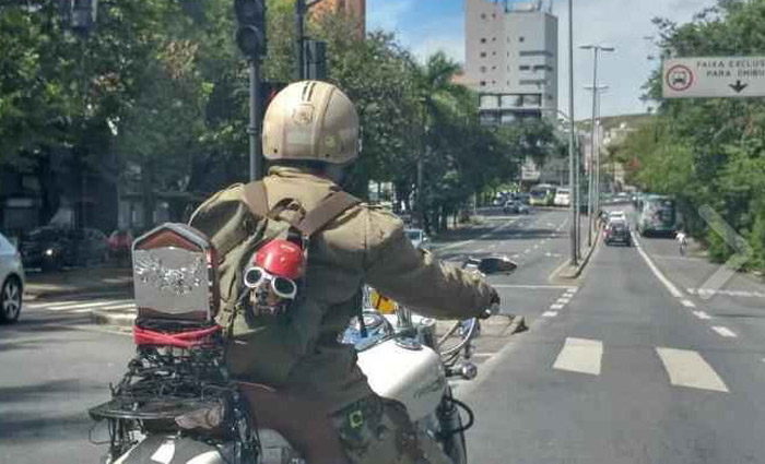 Motociclista Leva Cachorro Na Garupa E Faz Sucesso Nas Ruas De Belo