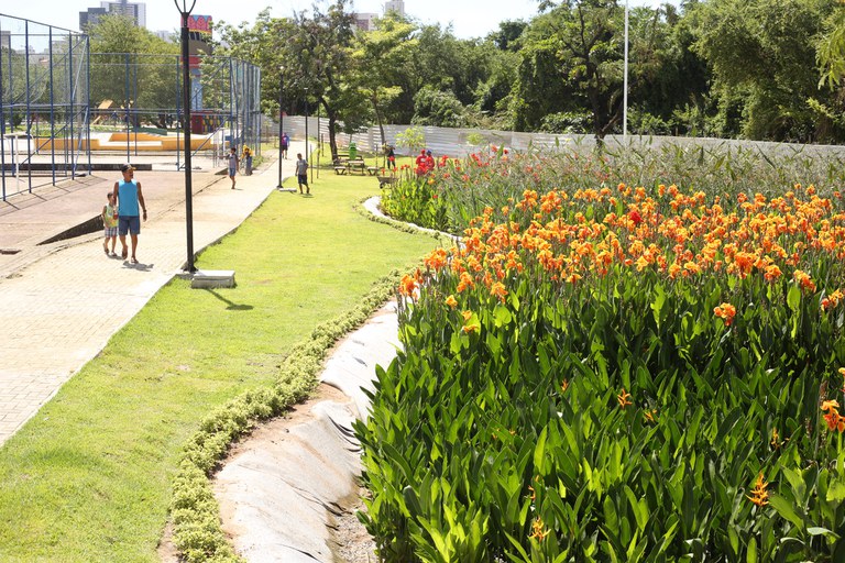 Parque Do Recife Solu O Inovadora Para Despoluir Riacho Local