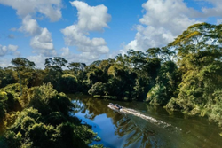 
Com 6,7 milhes de Km2, a Amaznia corresponde a 7% da superfcie global e cerca de 50% da biodiversidade mundial, ocupando oito pases 