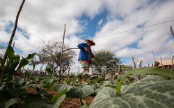 Comunidades rurais de Pernambuco sero visitadas por pases latino-americanos para debater adaptao climtica (Foto: Ana Mendes)