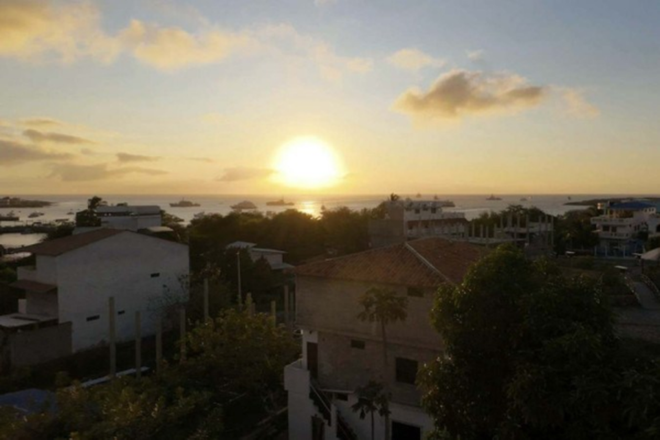 Sol em Galapagos  (Crdito: Enrique Ortiz/AFP)