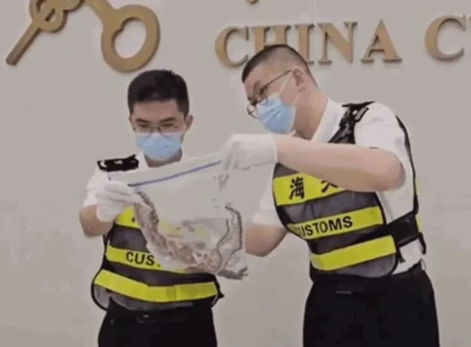 Homem tentava entrar na cidade de Shenzhen, na China (foto: Reproduo)