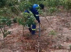 Homem  preso em flagrante furtando gua no Serto; esquema desviava 4,8 milhes de litros de gua por ms (Foto: Reproduo/Instagram @compesa_oficial)