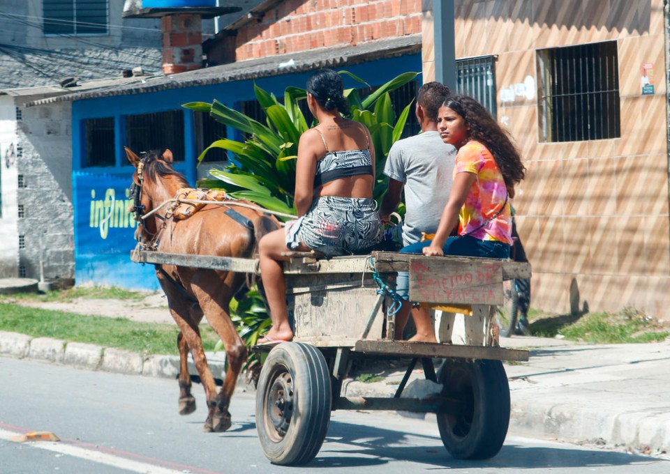 No  de hoje que os animais so utilizados de diversas maneiras pelo ser humano, principalmente para a locomoo (Foto: Marina Torres/DP)