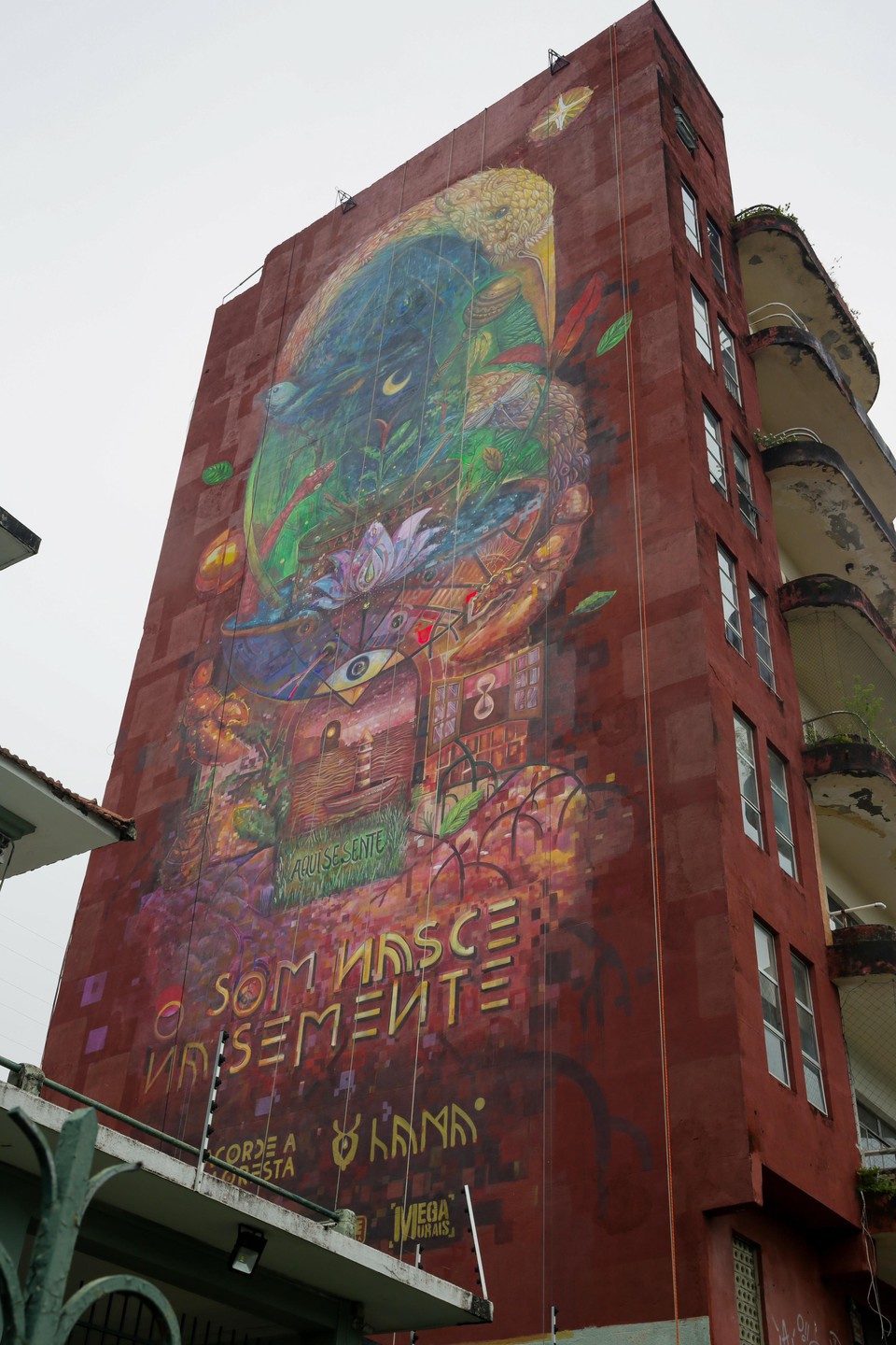 Mural foi pintado em prdio no Centro do Recife  (Foto: Rafael Vieira/DP)