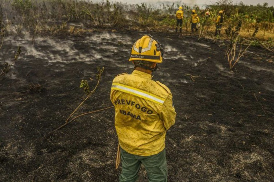 Brigadista do Prevfogo/Ibama observa, desolado, a rea devastada pelo incndio no Pantanal. Crdito extraordinrio ser dividido entre trs ministrio (Foto: Marcelo Camargo/Agncia Brasil)