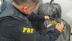 PRF apreende 156 quilos de maconha no Serto de Pernambuco; droga estaria sendo traficada (Foto: Divulgao/PRF)