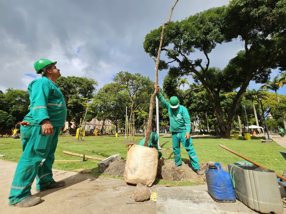 rvores esto sendo colocadas em parque  (Foto: prefeitura do Recife )