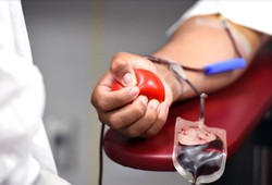 Doao de sangue: GSH Banco de Sangue Hemato enfrenta queda preocupante nos estoques sanguneos (Foto: Pixabay)