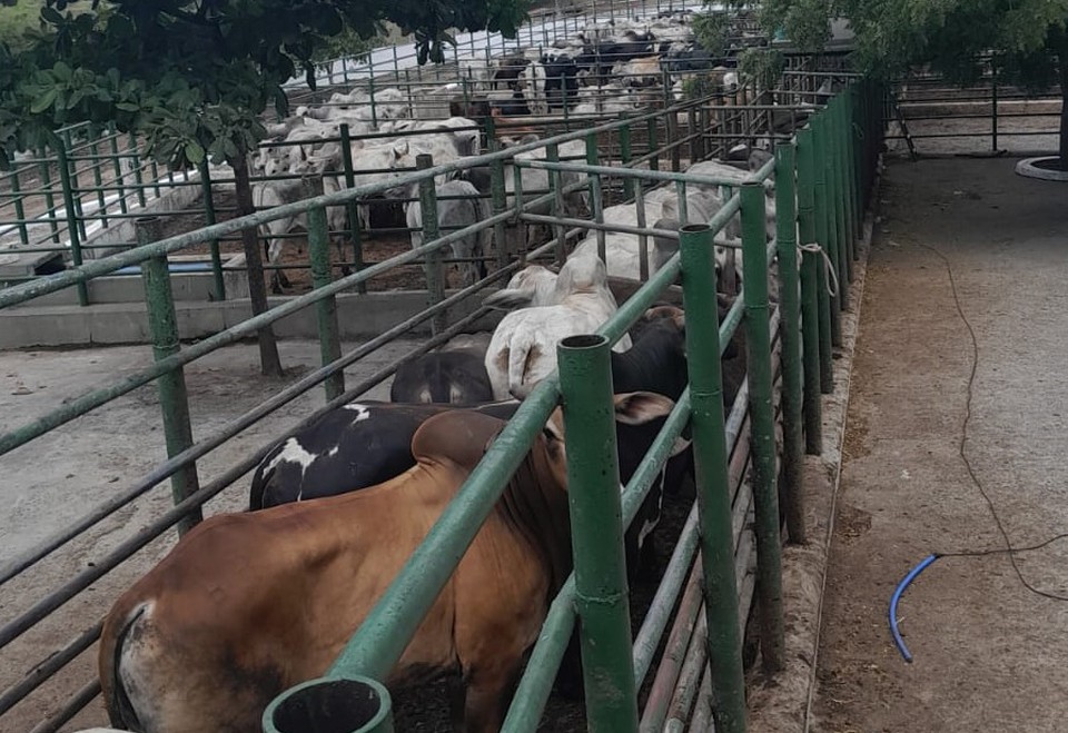 Fornecedores alegam que os custos vm aumentando, o que acarretar no repasse ao consumidor final (Foto: Acervo Pessoal)