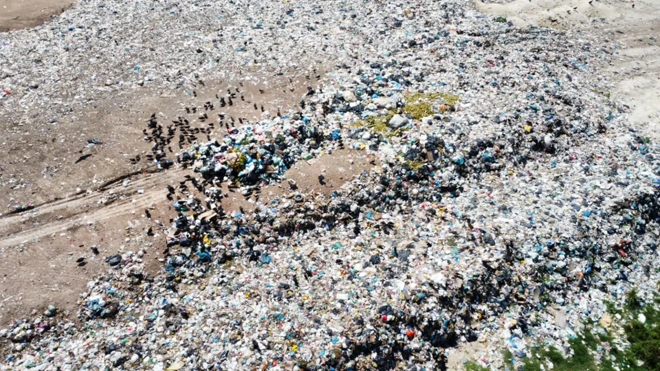 A Prefeitura de Gravat tem 20 dias para se defender, pagar a multa ou apresentar propostas  voltadas para a preservao ambiental (Foto: Reproduo/Redes sociais)