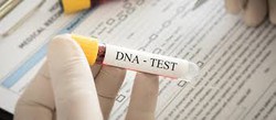 Teste de DNA pode ser feito de graa 