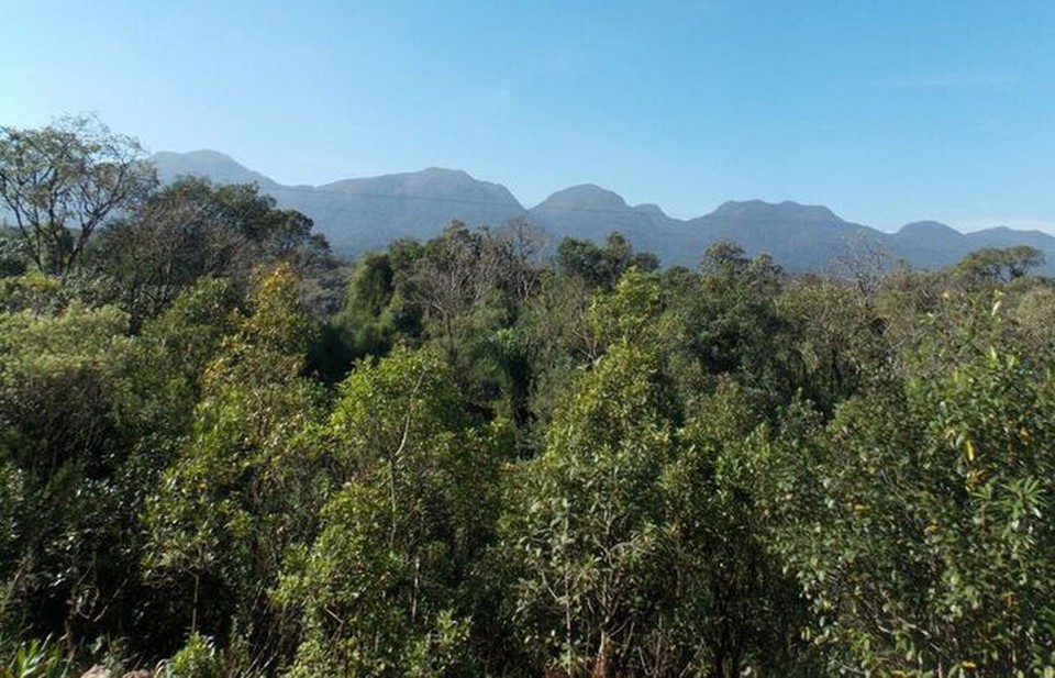 Com a adeso ao programa, a unidade de inteligncia da Agncia CPRH poder planejar aes estratgicas em todos os biomas de Pernambuco (Foto: Arquivo/Agncia Brasil)