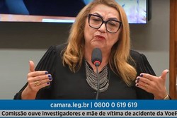 Audincia na comisso externa da Cmara dos Deputados 