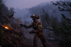 Incndios em Portugal j causaram sete mortes e dezenas de feridos (foto: Patricia DE MELO MOREIRA / AFP

)