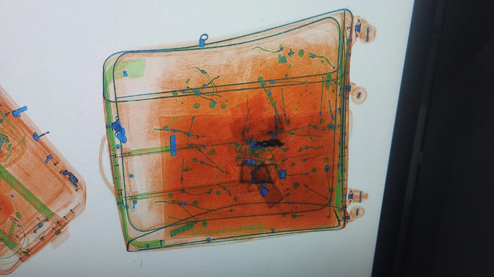 A droga foi descoberta aps exame de raio X, no Aeroporto Internacional do Recife  (Foto: Divulgao/PF)