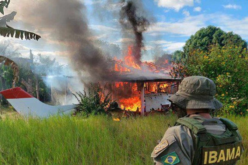 A determinao para a volta ao trabalho ocorre em meio aos incndios e desmatamentos recordes no Pantanal  (foto: Divulgao/Ibama)