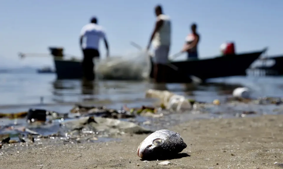 De acordo com o instituto, a sujeira presente nos mares e rios representa um impacto de 100 bilhes de dlares a setores como o turismo, pesca e aquicultura (Foto: Tnia Rgo/Agncia Brasil)