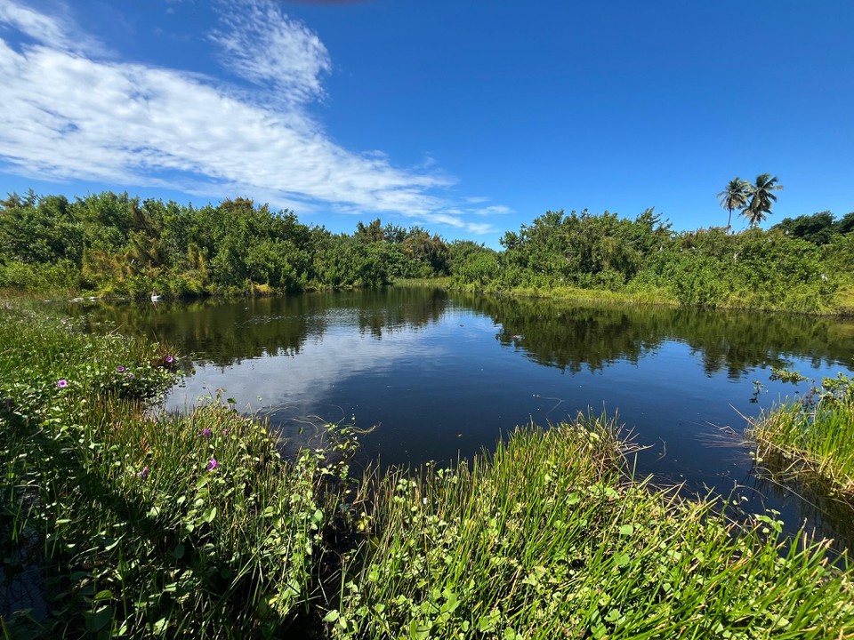 Lagoa do Jacar, na Ilha do Sossego, em Itamarac (Foto: Igor Alcoforado/DP)