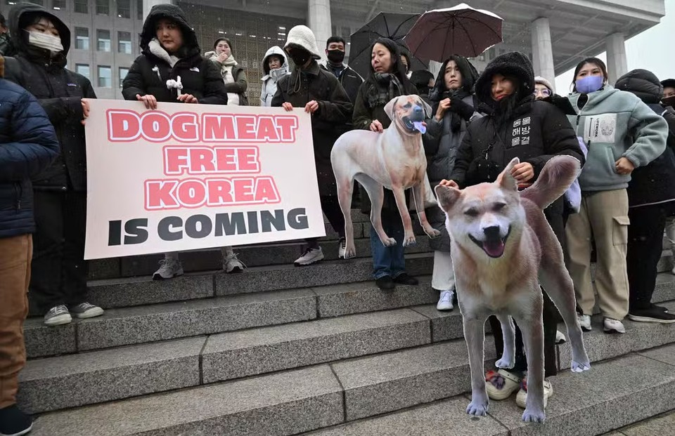 Comer carne de cachorro  atualmente um tabu entre os jovens urbanos da Coreia do Sul (Foto: JUNG YEON-JE/AFP)