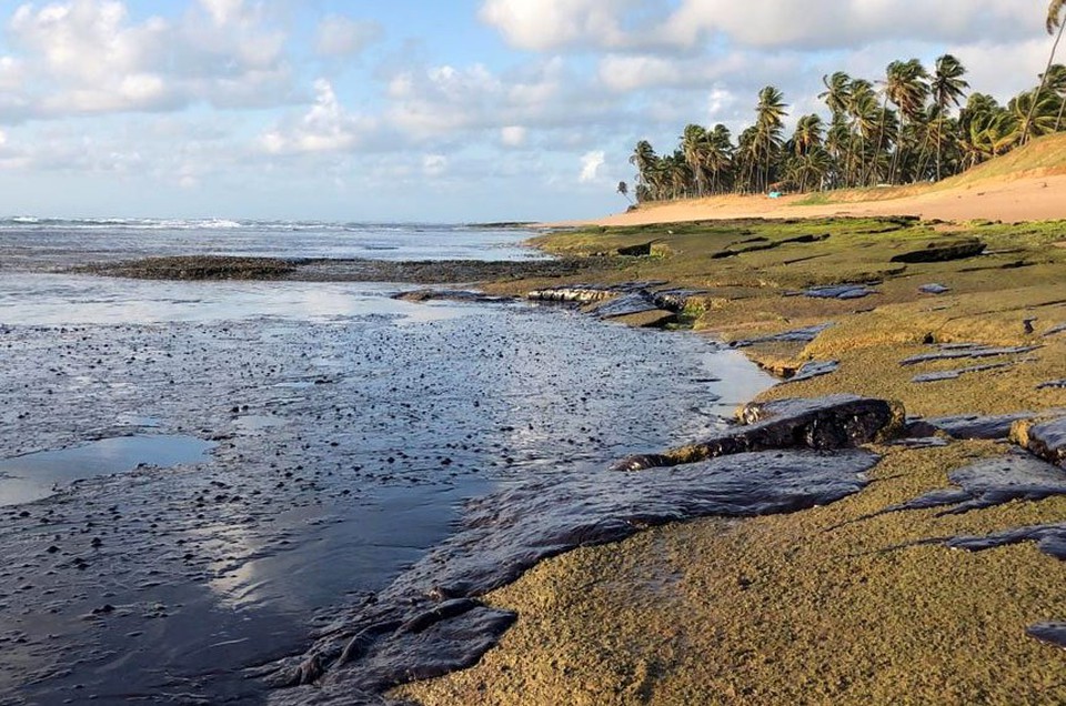 As praias do Nordeste foram cobertas por cinco mil toneladas de leo que haviam sido derramados no mar entre agosto de 2019 e maro de 2020 (Foto: Instituto Bioma)