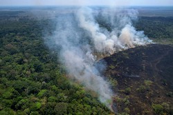 Brasil registra 13.489 focos de incndios na Amaznia Legal no primeiro semestre (foto: DOUGLAS MAGNO / AFP)