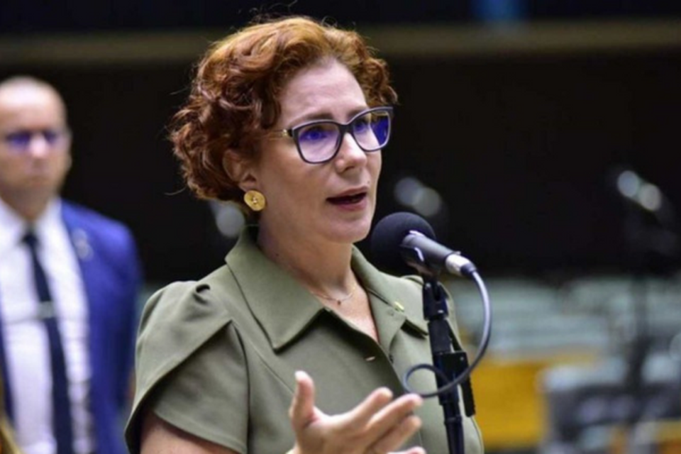 A deputada foi multada por publicaes feitas em 2022 (crdito: Zeca Ribeiro/Cmara dos Deputados)