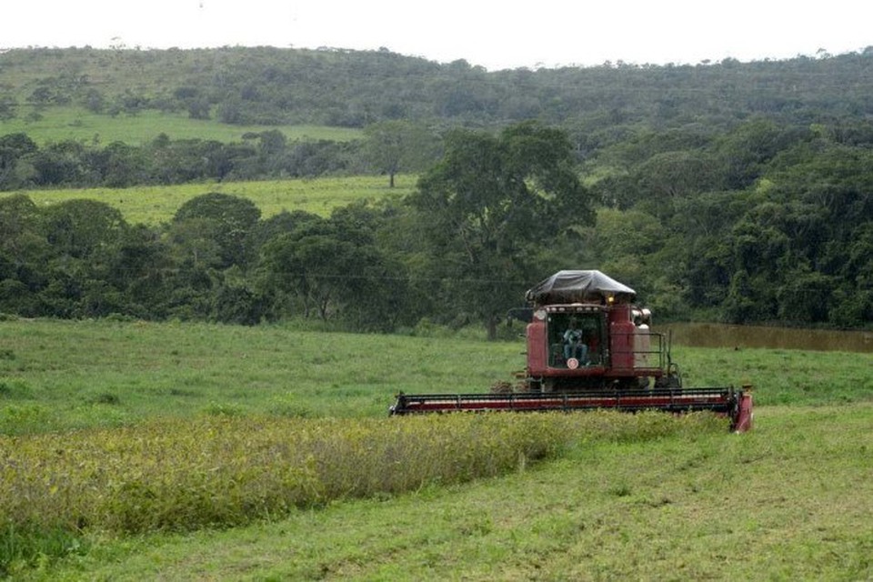 
O aumento das temperaturas e as chuvas extremas so alguns dos fatores que implicam na produo de alimentos  (foto: Carlos Vieira/CB/D.A.Press)