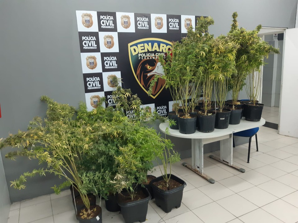 Aps detidos e apreendidos os objetos, todos foram conduzidos  1 DPRN, onde restaram autuados em flagrante delito e aguardaro apresentao em audincia de custdia (Foto: PCPE)