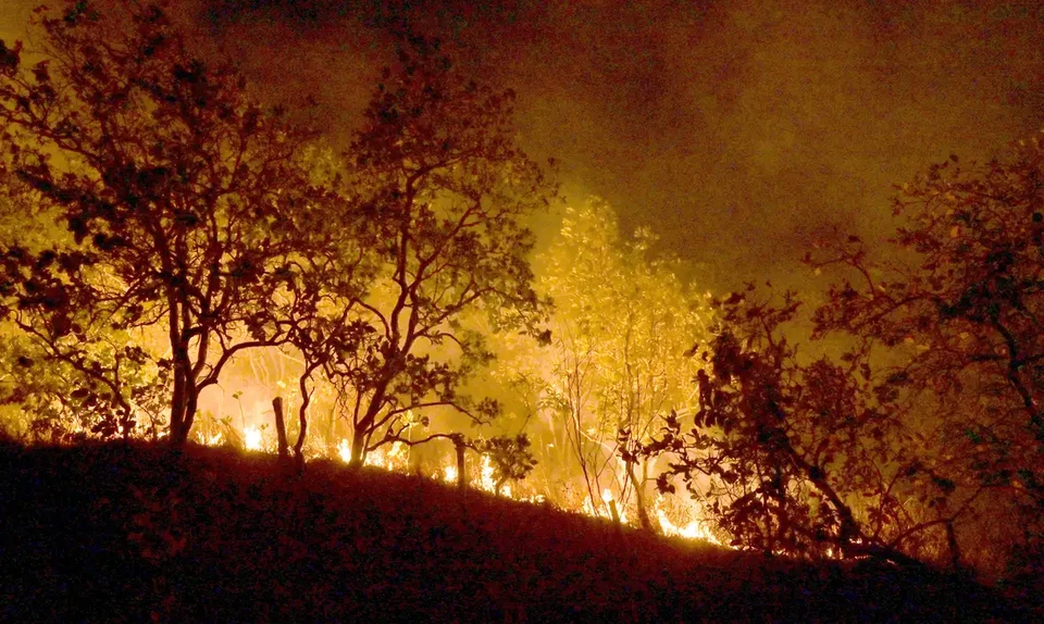 Esclarecimentos devem ser enviados em 30 dias (foto: Jader Souza/AL Roraima)