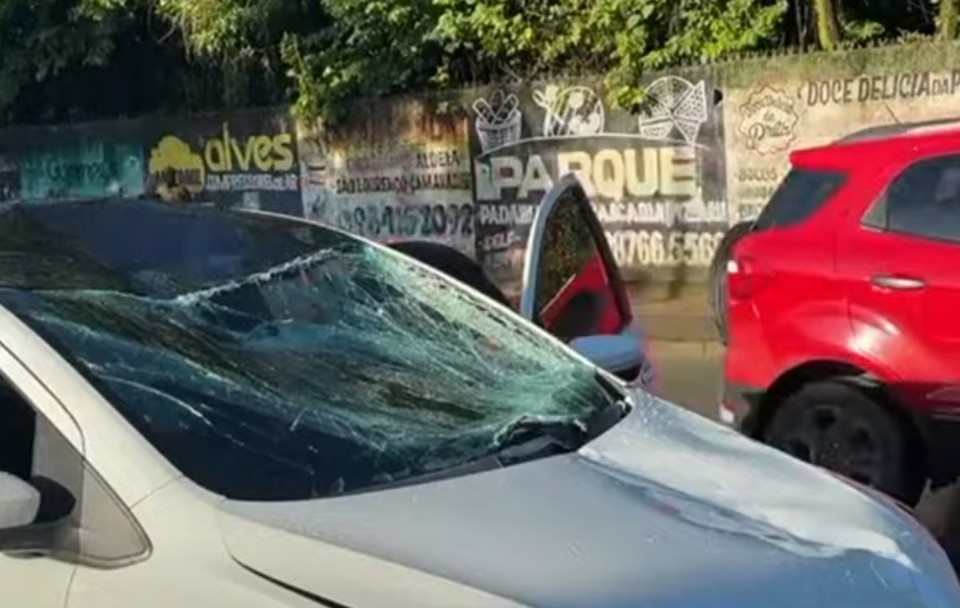 Carro ficou danificado ao bater em cavalo  (Foto: Redes Sociais )