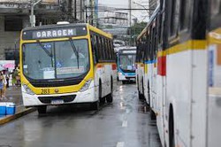   Eleies 2024: eleitores tero nibus de graa para segundo turno que ocorrer  em Olinda e Paulista  (Foto: Arquivo/DP)