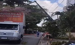 Caminho derruba poste e deixa moradores sem energia no bairro da Torre, no Recife (Foto: Reproduo/Instagram)