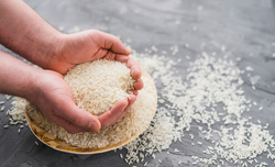 
No ms passado, o governo realizou um leilo pblico para a compra de arroz importado