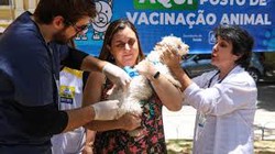  Dia Mundial Contra a Raiva Animal: Recife tem  conscientizao e vacinao no sbado  (Foto: Arquivo)