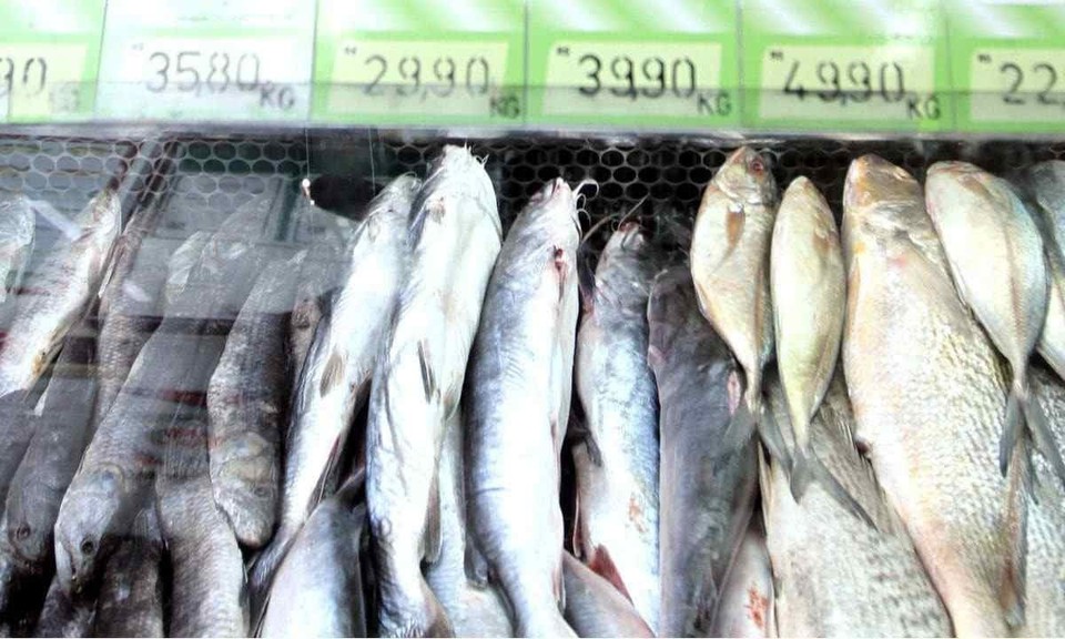 
Ao comprar o peixe, o consumidor deve observar com cuidado a validade dos produtos e a integridade das embalagens (foto: Jair Amaral/EM/D.A Press)