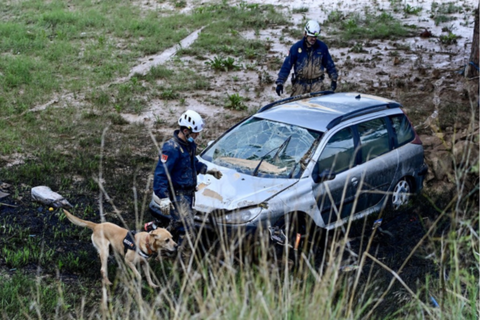 Polcia utiliza ces para procurar vtimas em Alfafar, na regio de Valncia (Crditos: JOSE JORDAN / AFP)