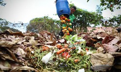 Prefeitura transforma 100 toneladas de resduos em adubo orgnico e evita a emisso de gases de efeito estufa (Foto: Hlia Scheppa/PCR)