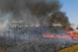 AGU cobra R$ 89 milhes de acusados de causar queimadas na Amaznia (foto: Jos Cruz/Agncia Brasil)