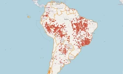 Brasil concentra 71,9% das queimadas na Amrica do Sul nas ltimas 48h (terrabrasilis/reproduo)