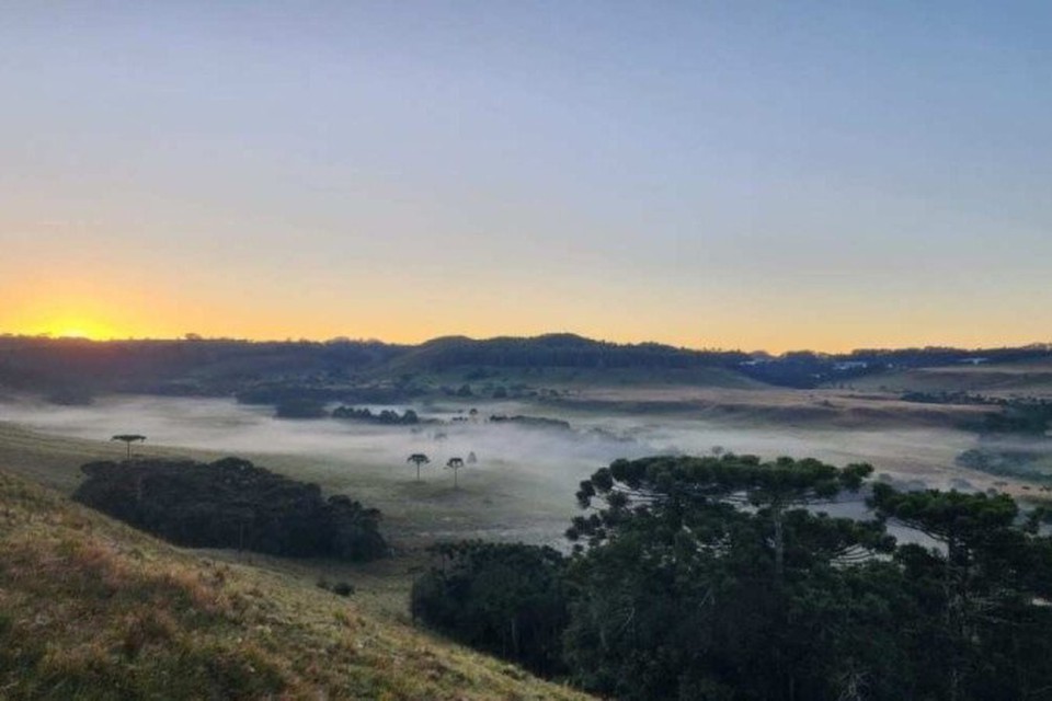 
Inmet informou que moradores devem se manter vigilantes sobre riscos que possam ser inevitveis, como perda de plantios devido a baixas temperaturas  (foto: Divulgao/Epagri/Ciram)