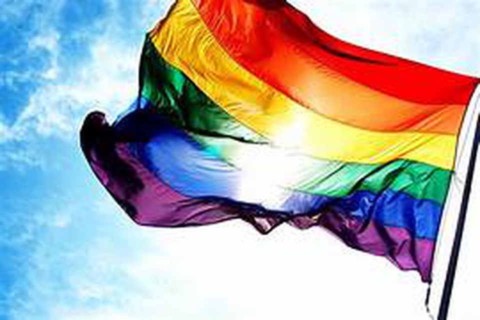 Bandeira simboliza movimento LGBTQIA  (Foto: Arquivo)