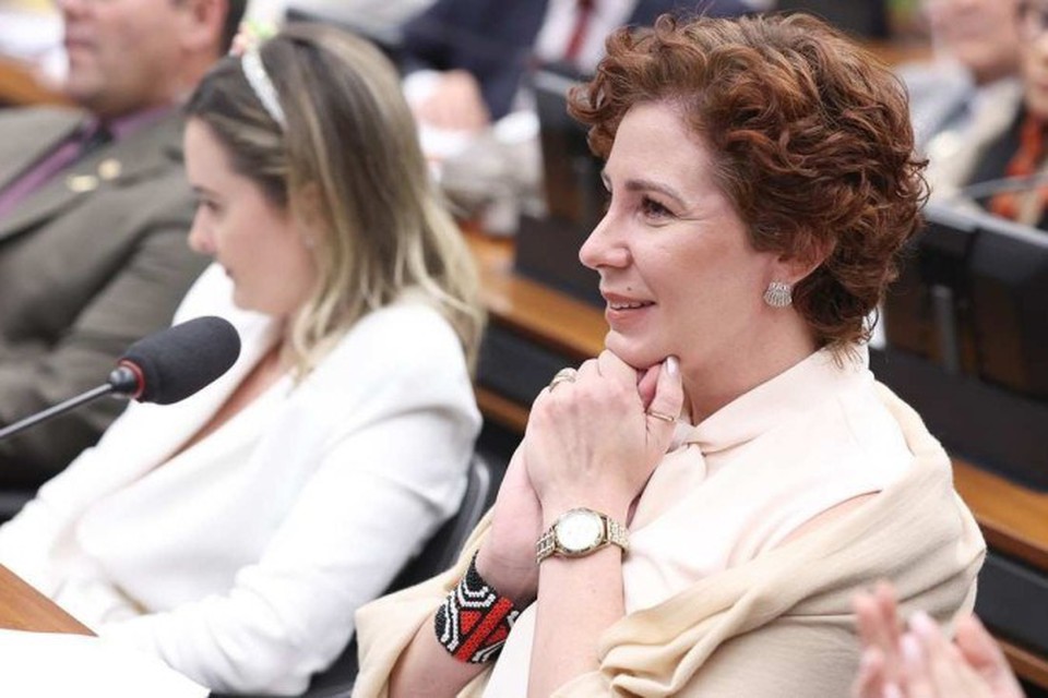 


"Agora  momento de novos soldados, sem ferimentos, assumirem a dianteira dessa batalha, pois estou nesta pauta desde 2015 e preciso dar 2 passos atrs", disse a deputada (foto: Myke Sena/Agncia Cmara)