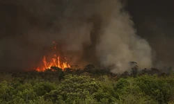 Incndios florestais afetaram mais de 11 milhes de pessoas no Brasil, estima CNM (foto: Marcelo Camargo/Agncia Brasil)