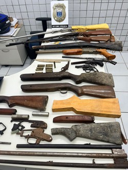  Armeiro do crime: homem  preso por fabricar armas para quadrilhas no Grande Recife  (Foto: Polcia Civil )