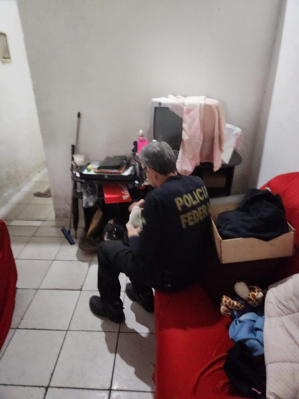 PF faz operação contra armazenamento de arquivos de cenas de sexo ou  pornográfica envolvendo criança e adolescente | Local: Diario de Pernambuco