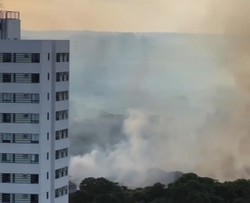 Incndio atinge vegetao perto da Via Mangue, no Recife (Foto: Reproduo/Instagram)