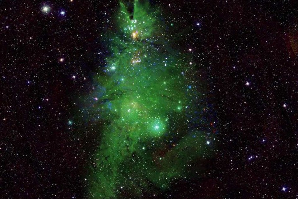 
Imagem  composta por aglomerado de estrelas jovens, com idades entre um e cinco milhes de anos na Via Lctea (foto: Divulgao/NASA/CXC/SAO/L)