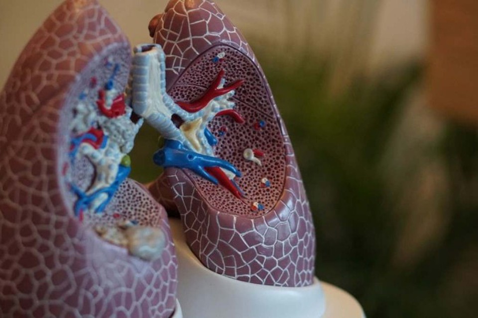 Pneumonite  uma inflamao dos tecidos pulmonares, entre elas esto: alergias, exposio a certos produtos qumicos e outros (foto: Unsplash/ Robina Weermeijer)