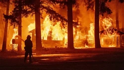 Centenas de bombeiros lutam contra megaincndio na Califrnia (foto: Josh Edelson/AFP)